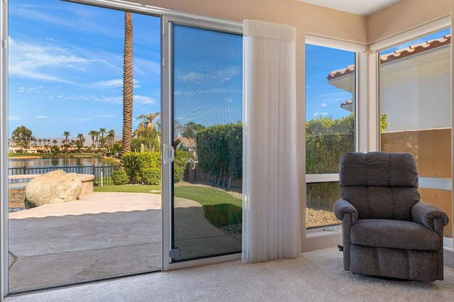 doorway with carpet flooring and a water view