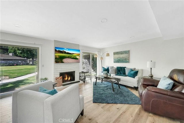 living area featuring light wood finished floors and a fireplace