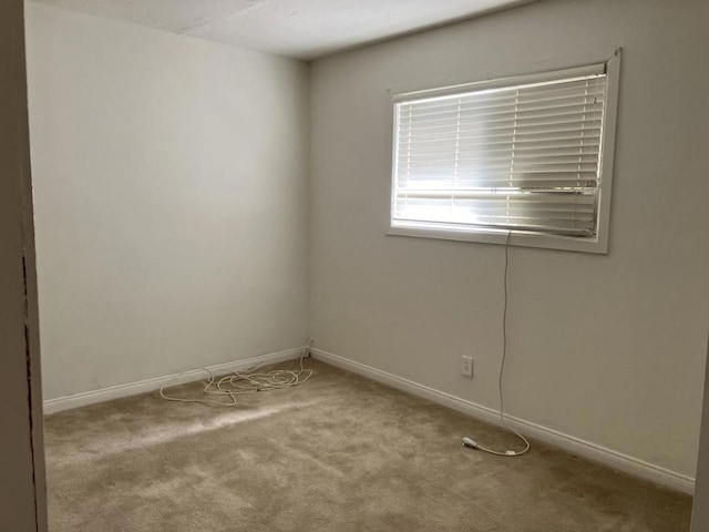 spare room with light carpet