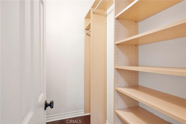 spacious closet featuring dark wood-type flooring