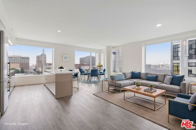 living room featuring light hardwood / wood-style flooring