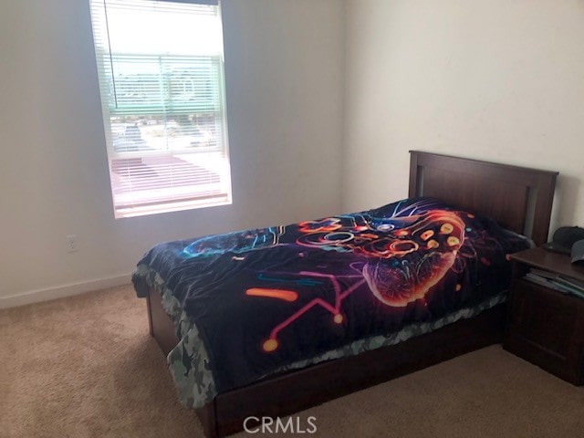 bedroom featuring multiple windows and light colored carpet