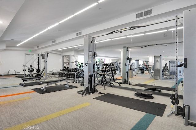 gym featuring carpet