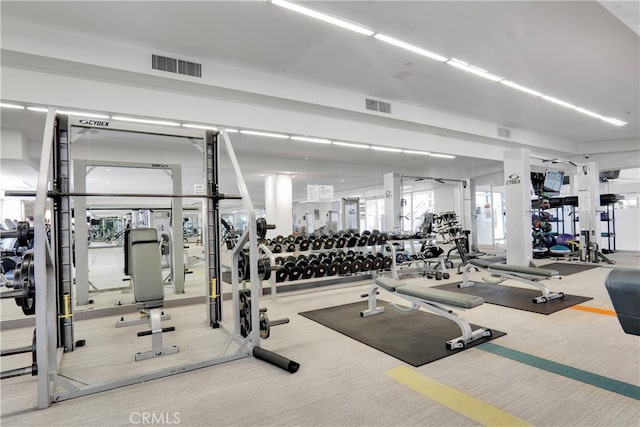 exercise room featuring carpet floors