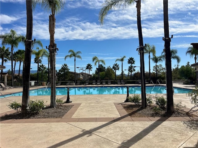 view of swimming pool