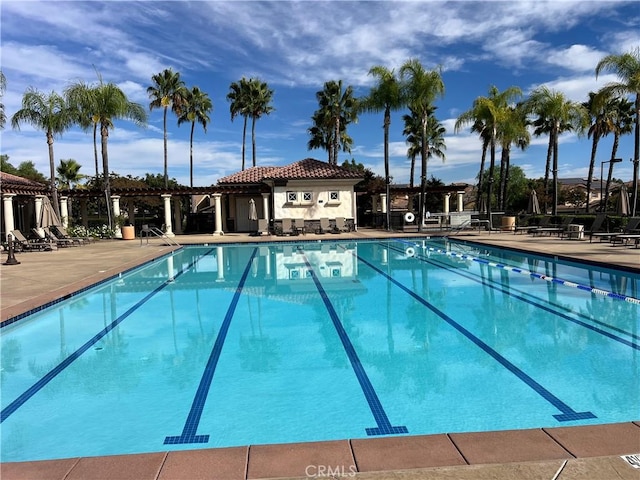 view of pool featuring a patio