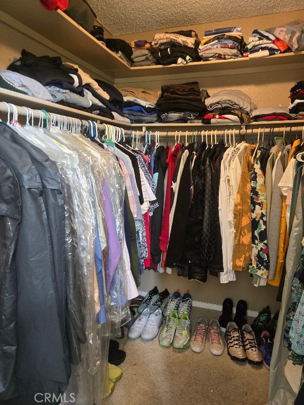 spacious closet with carpet