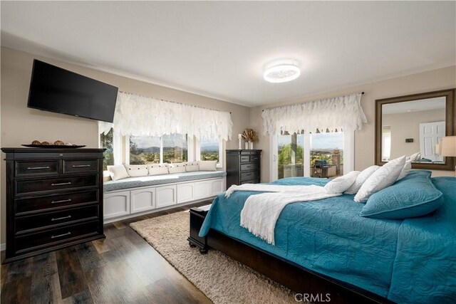 bedroom with dark hardwood / wood-style floors