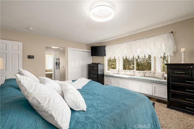 bedroom with light wood-type flooring and a closet