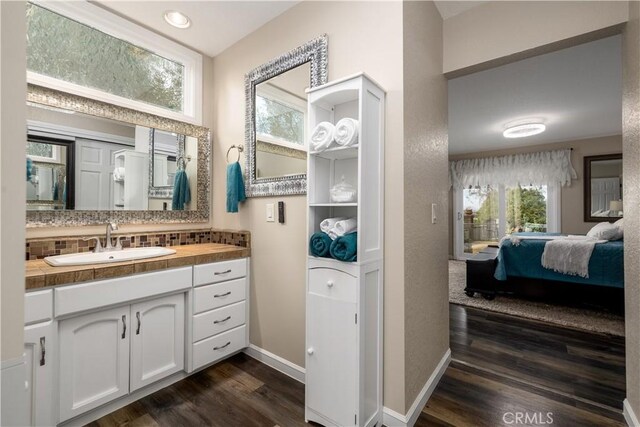 bathroom featuring hardwood / wood-style flooring, decorative backsplash, and vanity