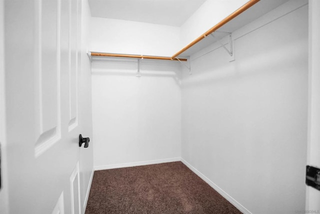 spacious closet with carpet floors