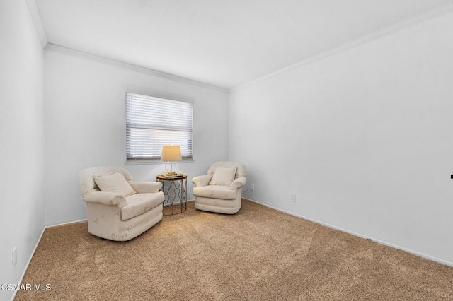 living area featuring carpet flooring and ornamental molding