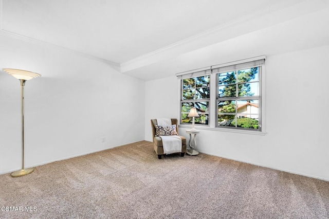 unfurnished room featuring crown molding and carpet