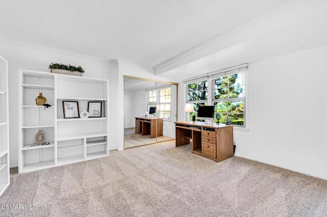 unfurnished office with crown molding and light colored carpet