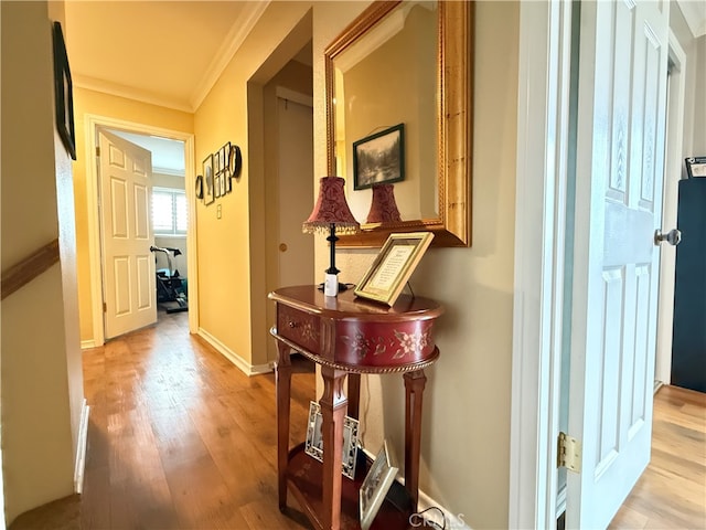 corridor featuring crown molding and light hardwood / wood-style flooring