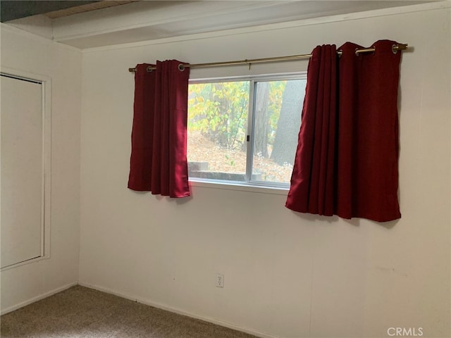 unfurnished room featuring carpet floors