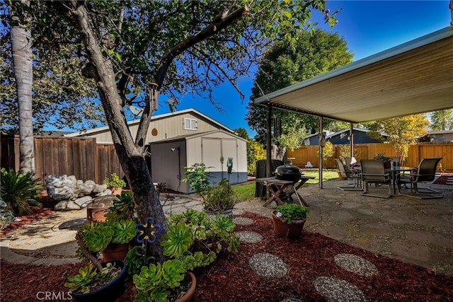 view of yard featuring a shed and a patio area