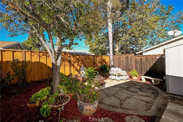 view of yard with a patio area