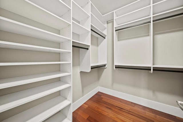 spacious closet with dark hardwood / wood-style floors