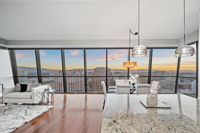 kitchen featuring hardwood / wood-style flooring, pendant lighting, and light stone counters