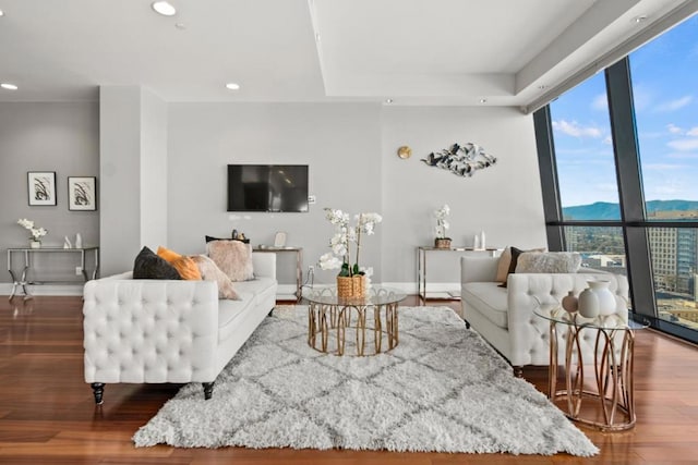 living room featuring hardwood / wood-style floors