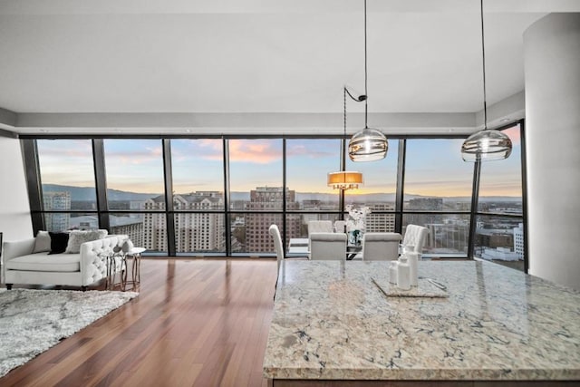 kitchen featuring hardwood / wood-style floors, decorative light fixtures, and light stone counters