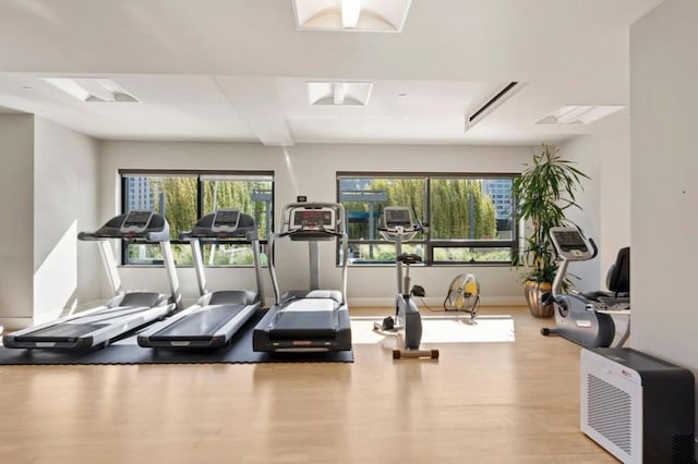 exercise room featuring light hardwood / wood-style flooring