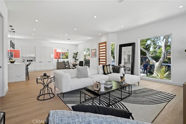 living room featuring light hardwood / wood-style flooring