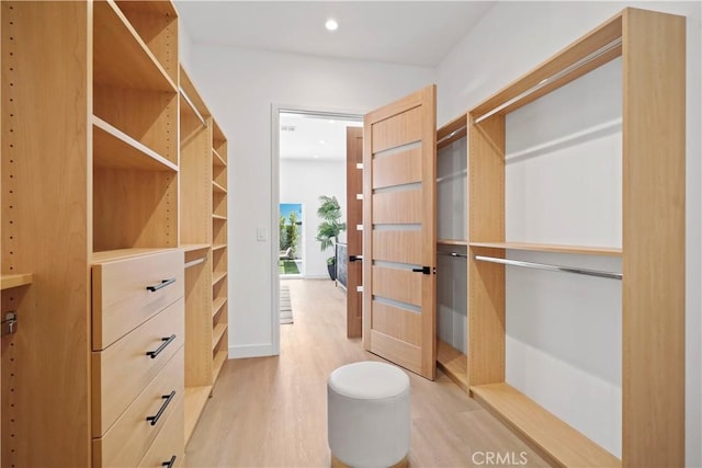 walk in closet featuring light wood-type flooring