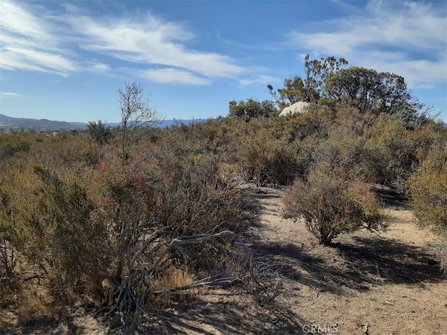 0 Lake Cyn, Aguanga, CA 92536 - photo 8