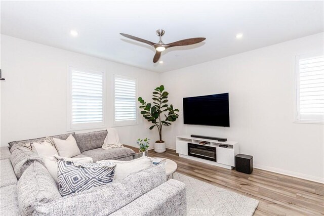 living room with ceiling fan and light wood-type flooring