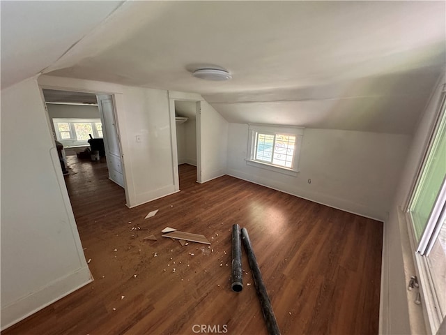 additional living space featuring lofted ceiling, a wealth of natural light, and dark hardwood / wood-style flooring