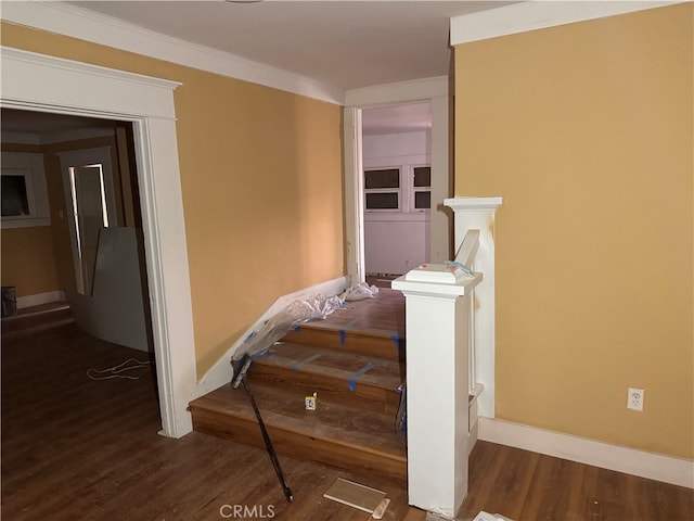 stairway featuring crown molding and wood-type flooring