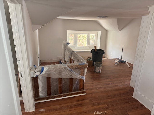 interior space featuring dark wood-type flooring and lofted ceiling