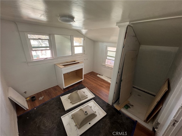 additional living space featuring lofted ceiling, a healthy amount of sunlight, and hardwood / wood-style flooring