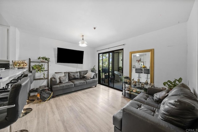 living room featuring wood finished floors