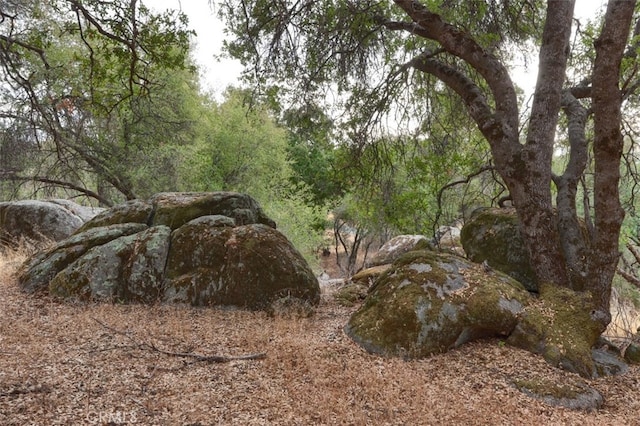 view of nature