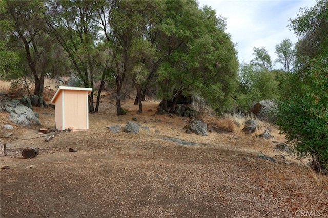 view of yard with a shed