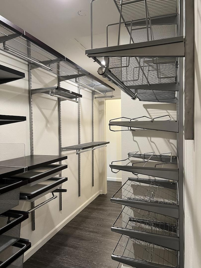 walk in closet featuring dark hardwood / wood-style floors