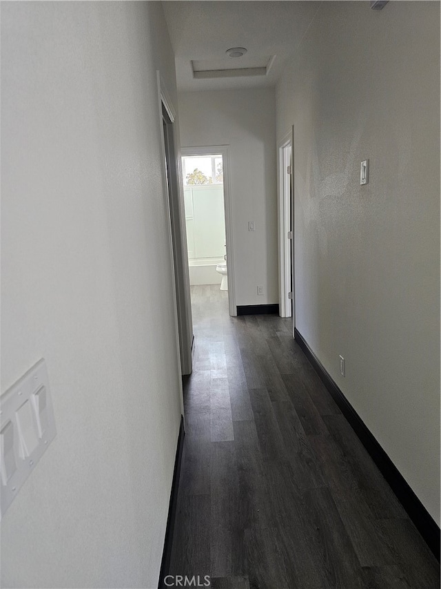 hallway with dark hardwood / wood-style flooring