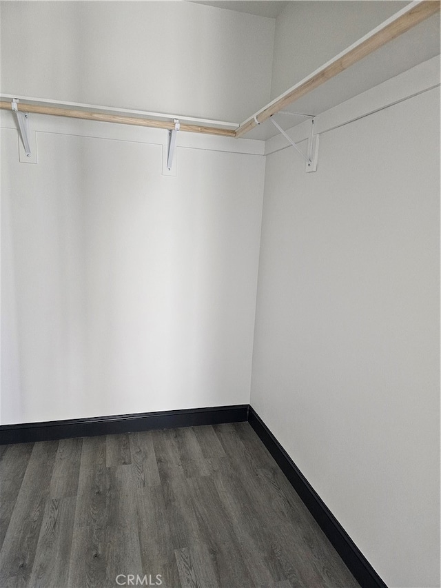 spacious closet featuring dark wood-type flooring