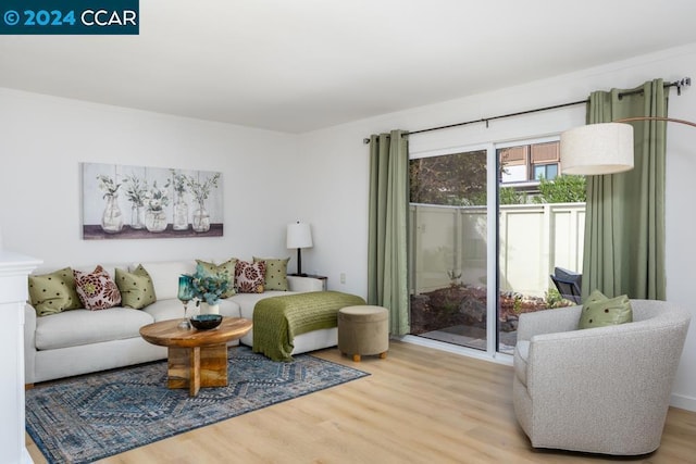 living room with light hardwood / wood-style floors