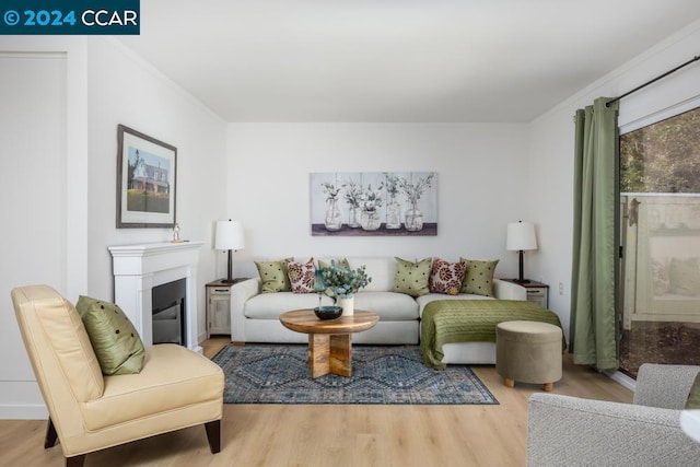 living room with ornamental molding and hardwood / wood-style floors