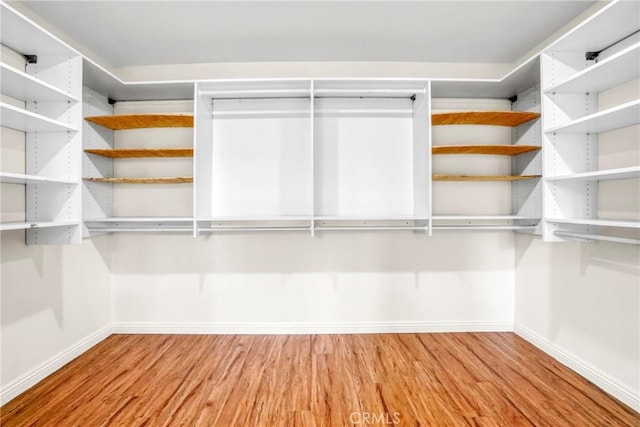 walk in closet featuring wood finished floors