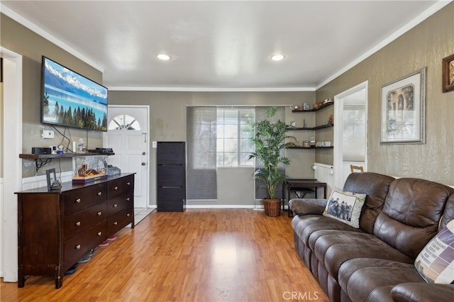 living room featuring crown molding and light hardwood / wood-style flooring