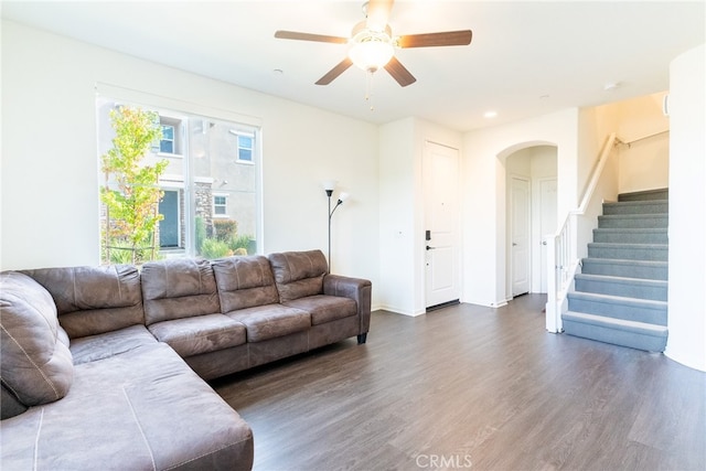 living room with ceiling fan and dark hardwood / wood-style flooring