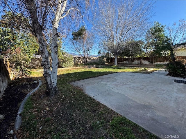 view of yard featuring a patio area