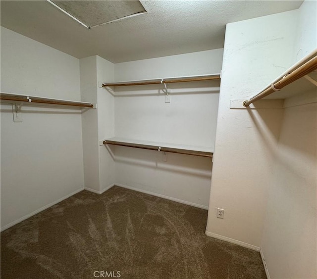 spacious closet featuring dark colored carpet