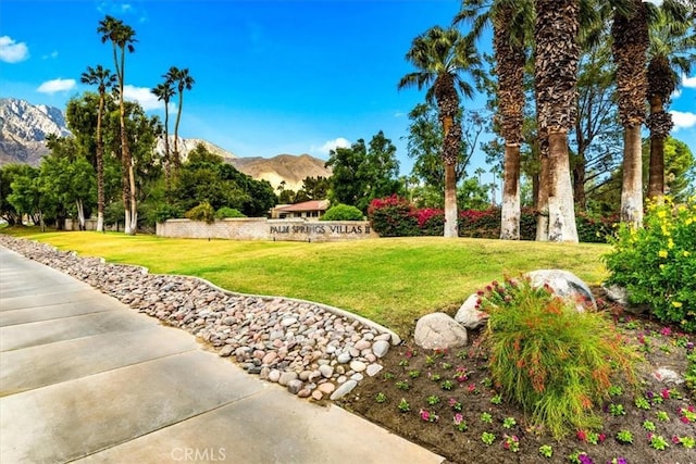 view of yard featuring a mountain view