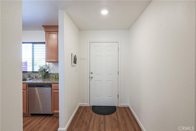 entryway featuring sink and dark wood-type flooring